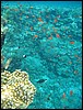 IMG_4184.JPG