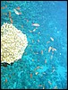 IMG_4186.JPG
