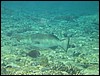 IMG_4191.JPG