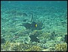 IMG_4192.JPG