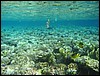 IMG_4193.JPG