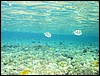 IMG_4194.JPG