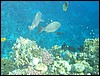 IMG_4195.JPG