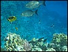 IMG_4196.JPG
