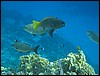 IMG_4197.JPG