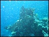 IMG_4202.JPG