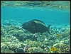 IMG_4208.JPG