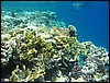 IMG_4213.JPG