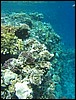 IMG_4214.JPG