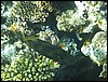 IMG_4216.JPG