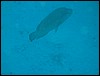 IMG_4227.JPG