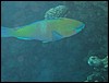 IMG_4228.JPG
