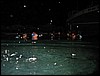 IMG_4235.JPG