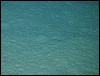 IMG_4250.JPG
