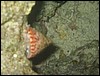 IMG_4257.JPG