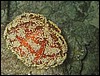 IMG_4261.JPG
