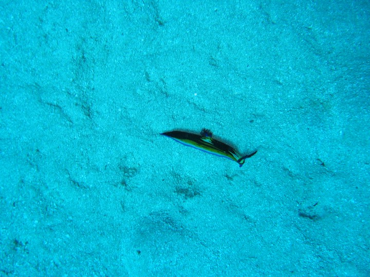IMG_4306.JPG