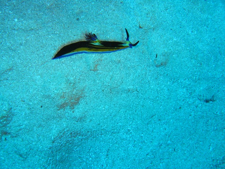 IMG_4307.JPG
