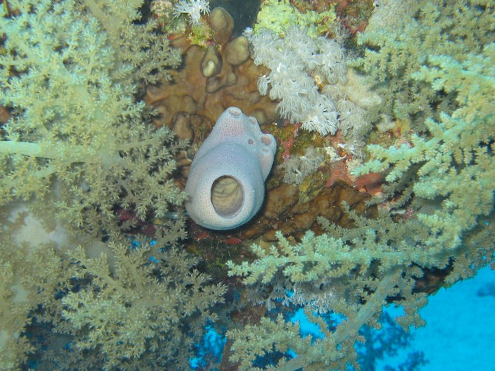IMG_4321.JPG