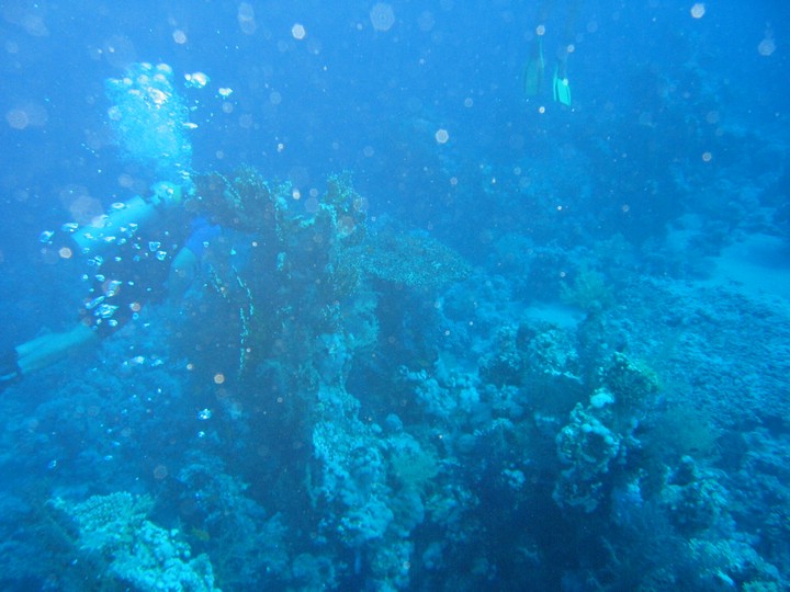 IMG_4335.JPG