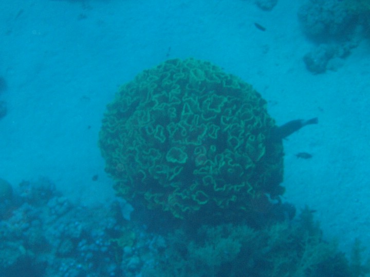 IMG_4344.JPG
