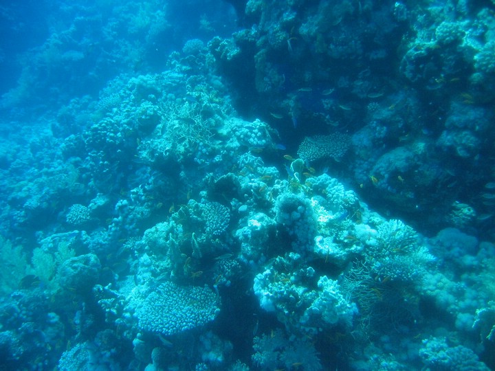 IMG_4348.JPG