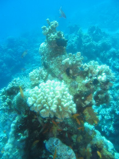 IMG_4351.JPG