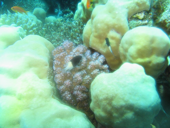 IMG_4354.JPG
