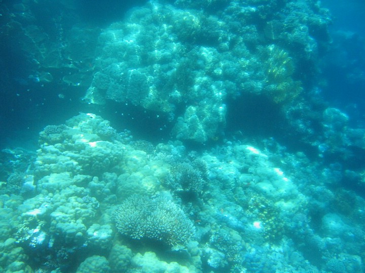 IMG_4358.JPG