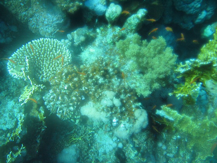 IMG_4359.JPG