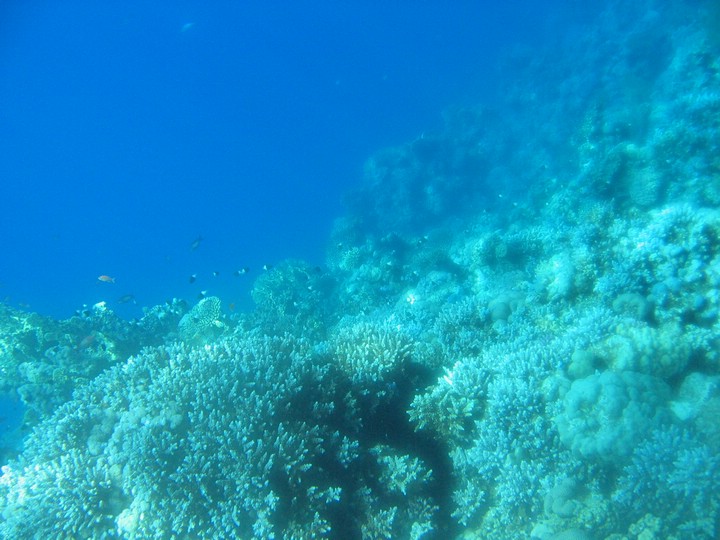 IMG_4360.JPG