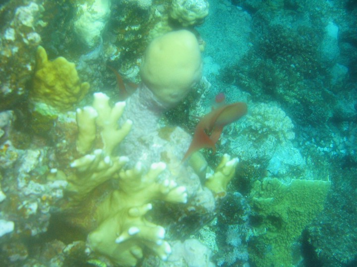IMG_4363.JPG