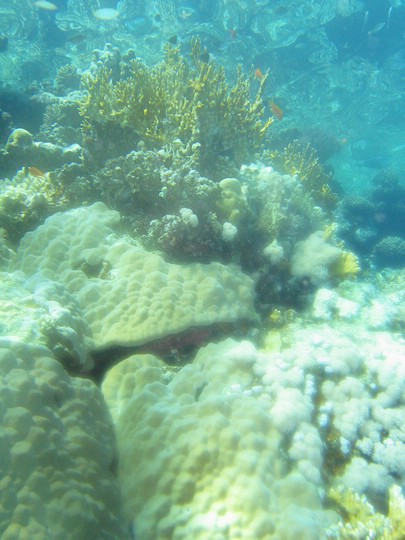 IMG_4366.JPG