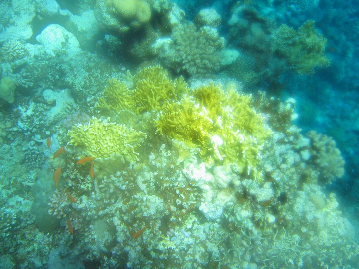IMG_4367.JPG