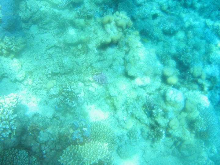 IMG_4368.JPG