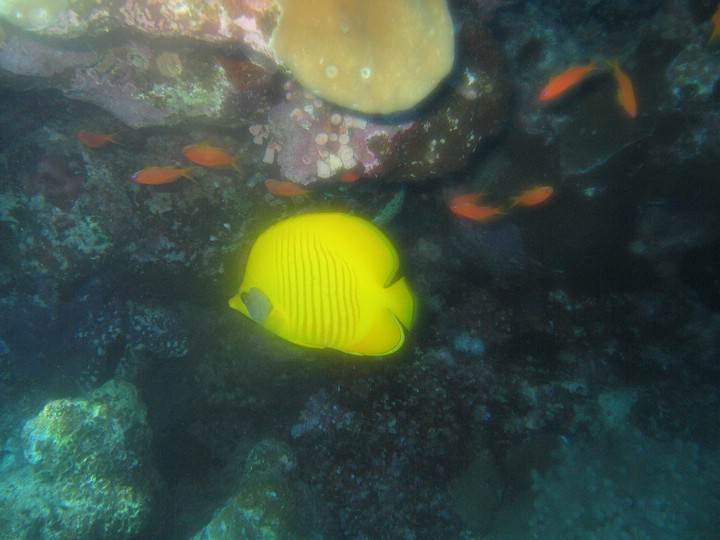 IMG_4370.JPG