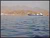 IMG_4283.JPG