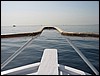 IMG_4284.JPG