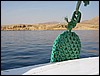 IMG_4286.JPG