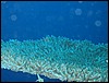 IMG_4290.JPG