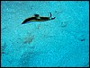 IMG_4307.JPG