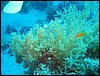 IMG_4316.JPG