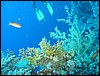 IMG_4318.JPG