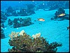 IMG_4326.JPG