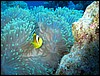 IMG_4328.JPG