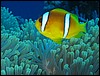 IMG_4329.JPG
