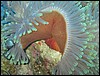 IMG_4331.JPG