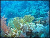 IMG_4341.JPG