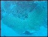 IMG_4343.JPG