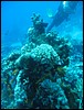 IMG_4350.JPG